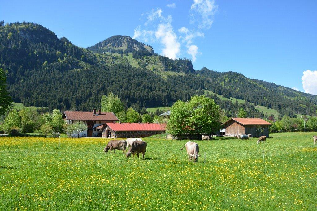 Heulandhof Villa Bad Hindelang Eksteriør billede